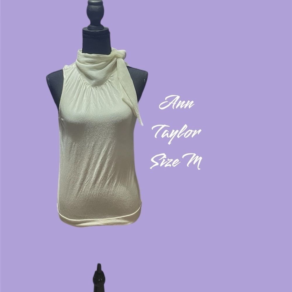 ANN TAYLOR SLEEVELESS CAREER TOP SIZE MEDIUM GENTLY WORN